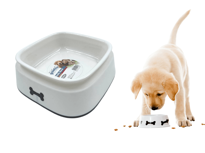 1 Pcs Pawise Plastic Dog Food Bowl 950 ml - Glowish