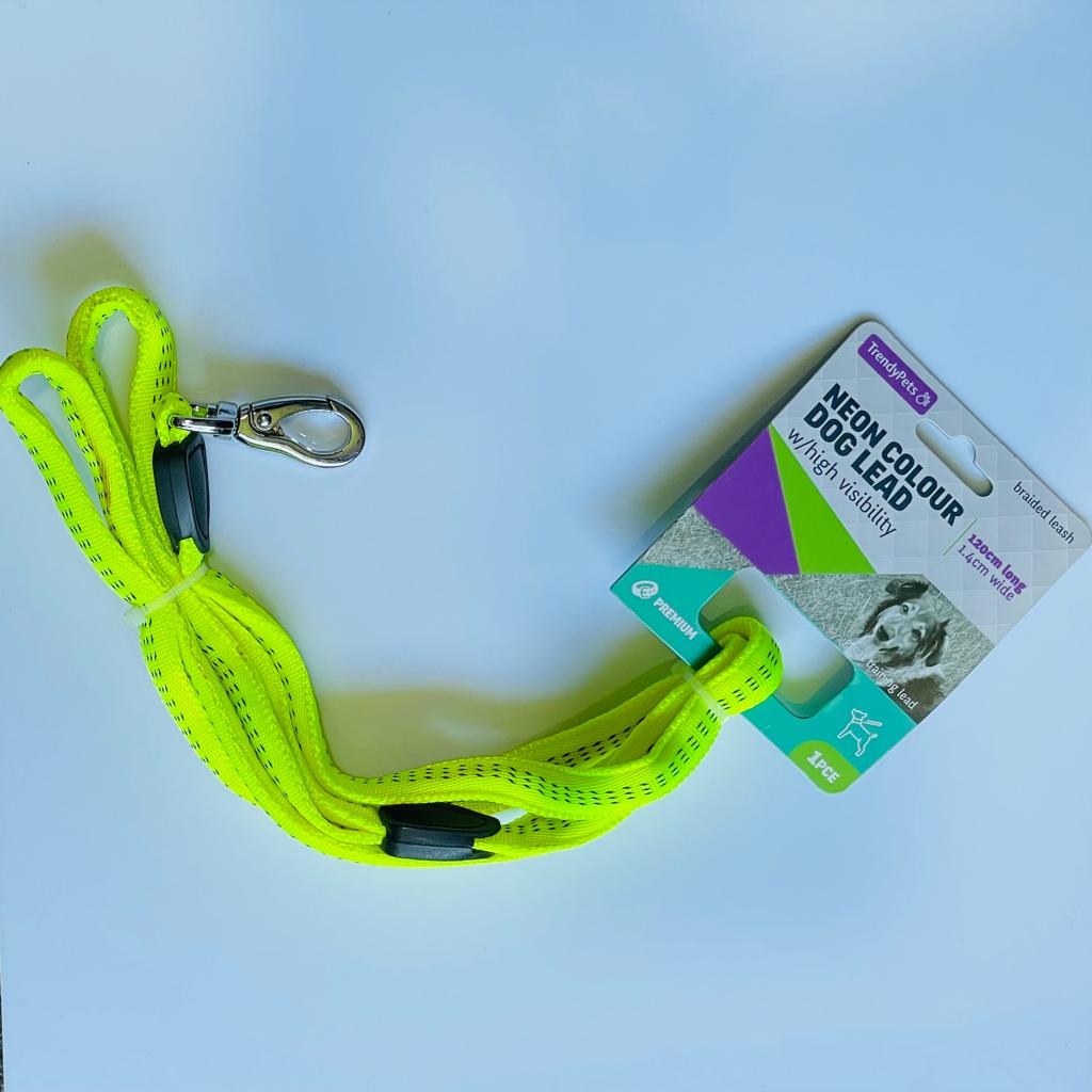 Fluro Nylon Dog Lead 120 cm - Glowish