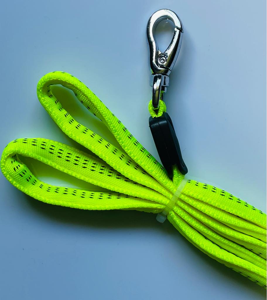 Fluro Nylon Dog Lead 120 cm - Glowish